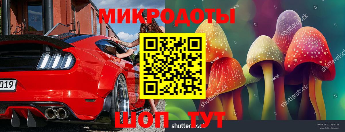 Майкоп  Галлюциногенные грибы Psilocybine cubensis  Вход с VPN 